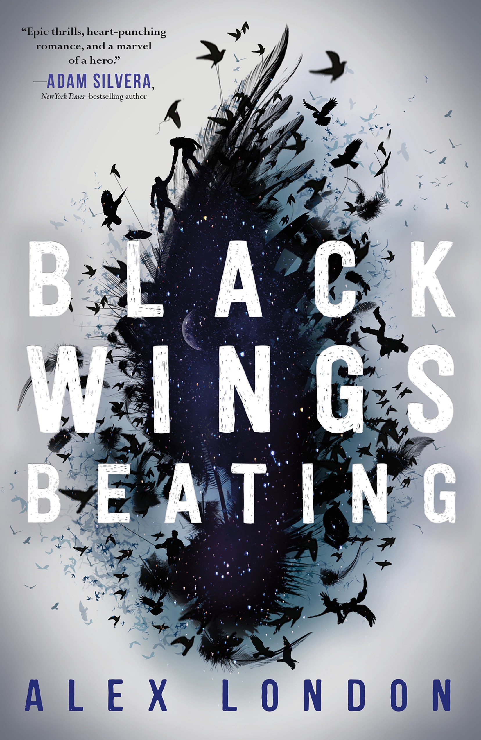 Book Black Wings Beating