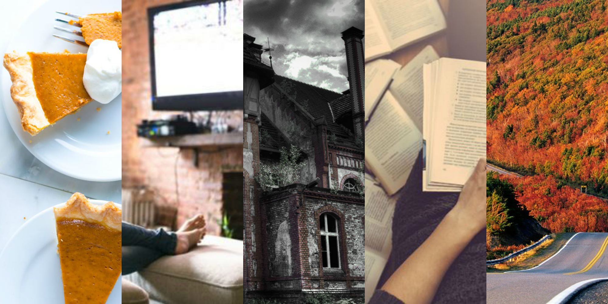 5 Fall Activities Inspired by YA Books