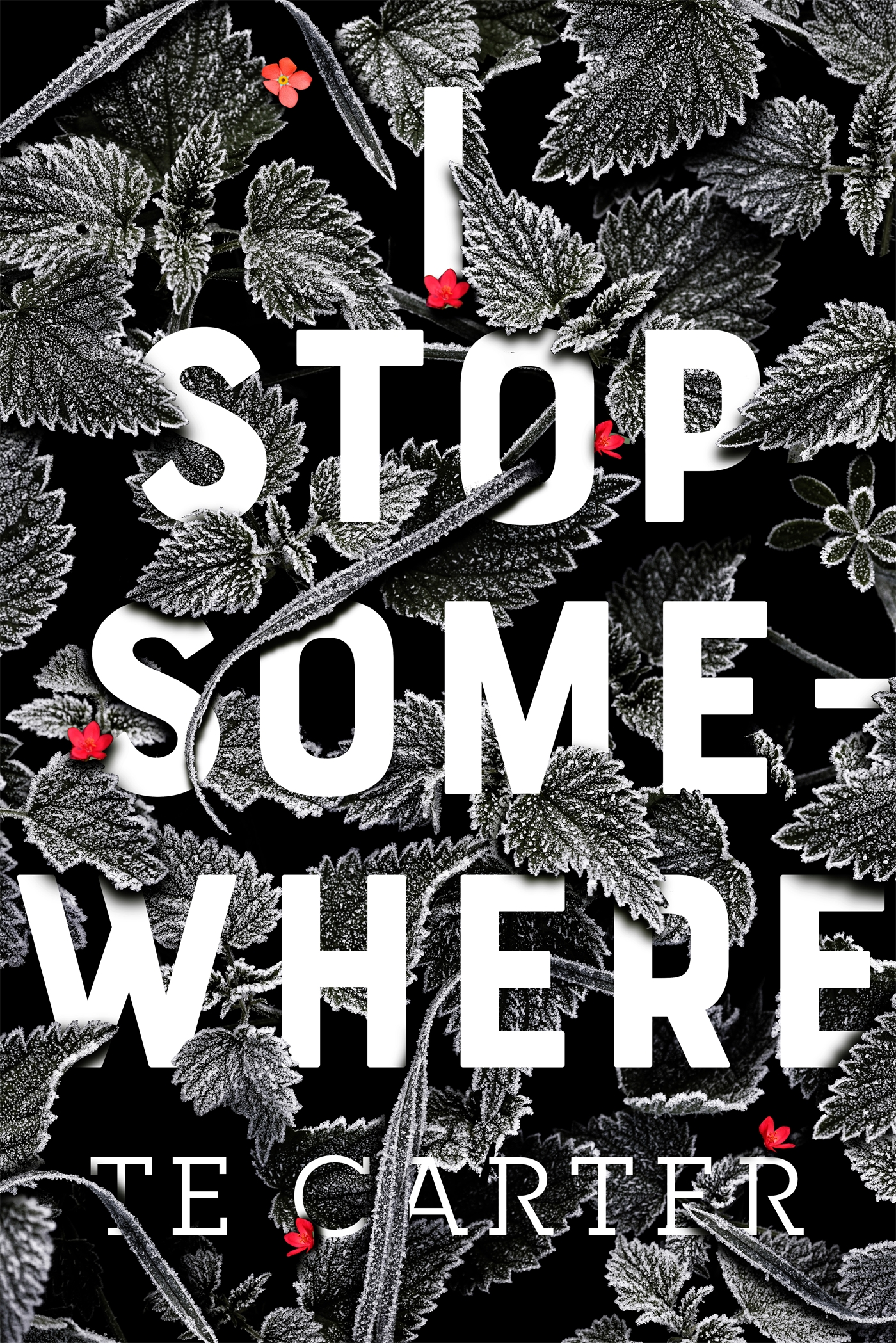 Images for I Stop Somewhere