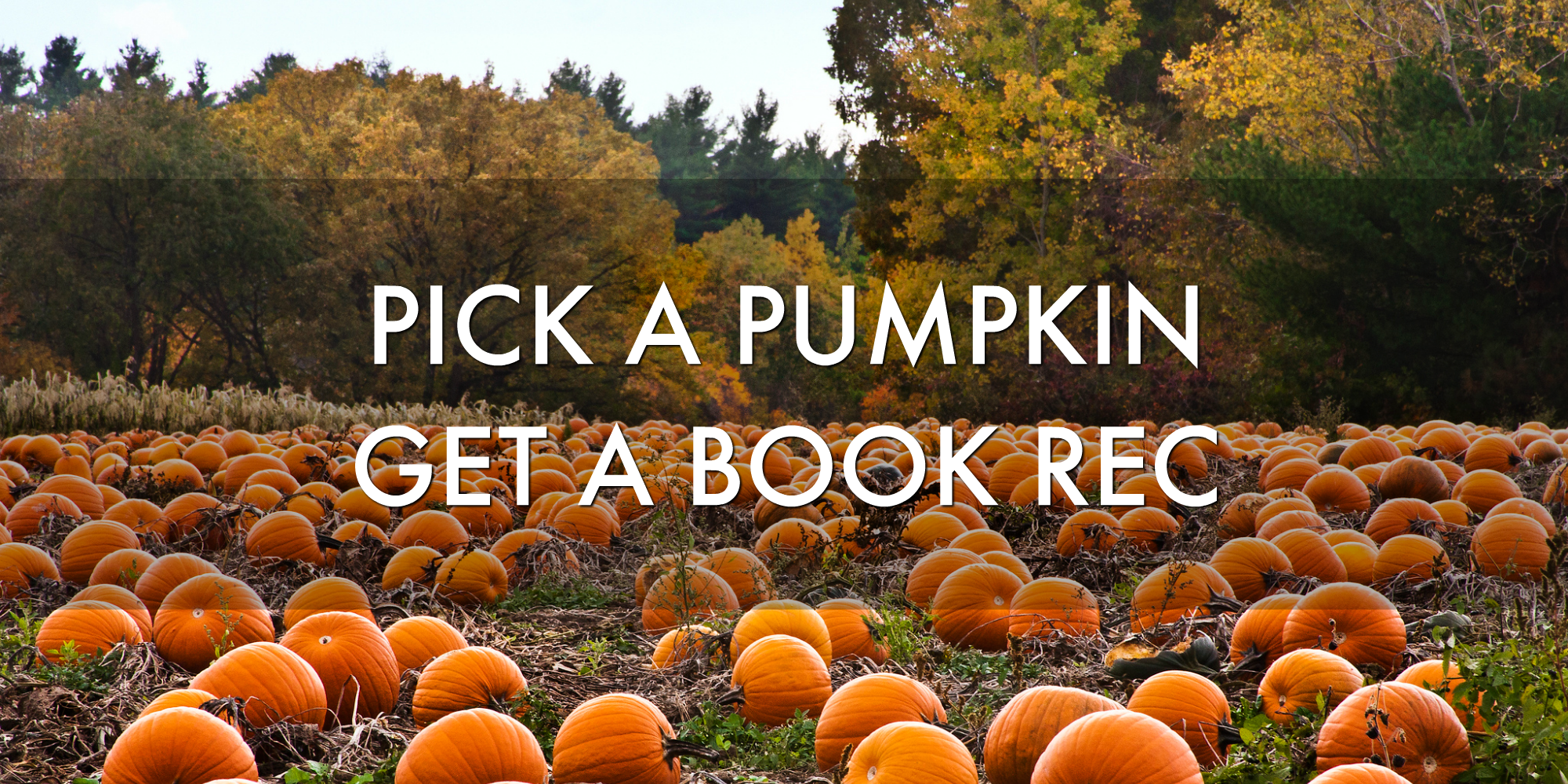 Pick a Pumpkin Carving, Get a Book Recommendation!