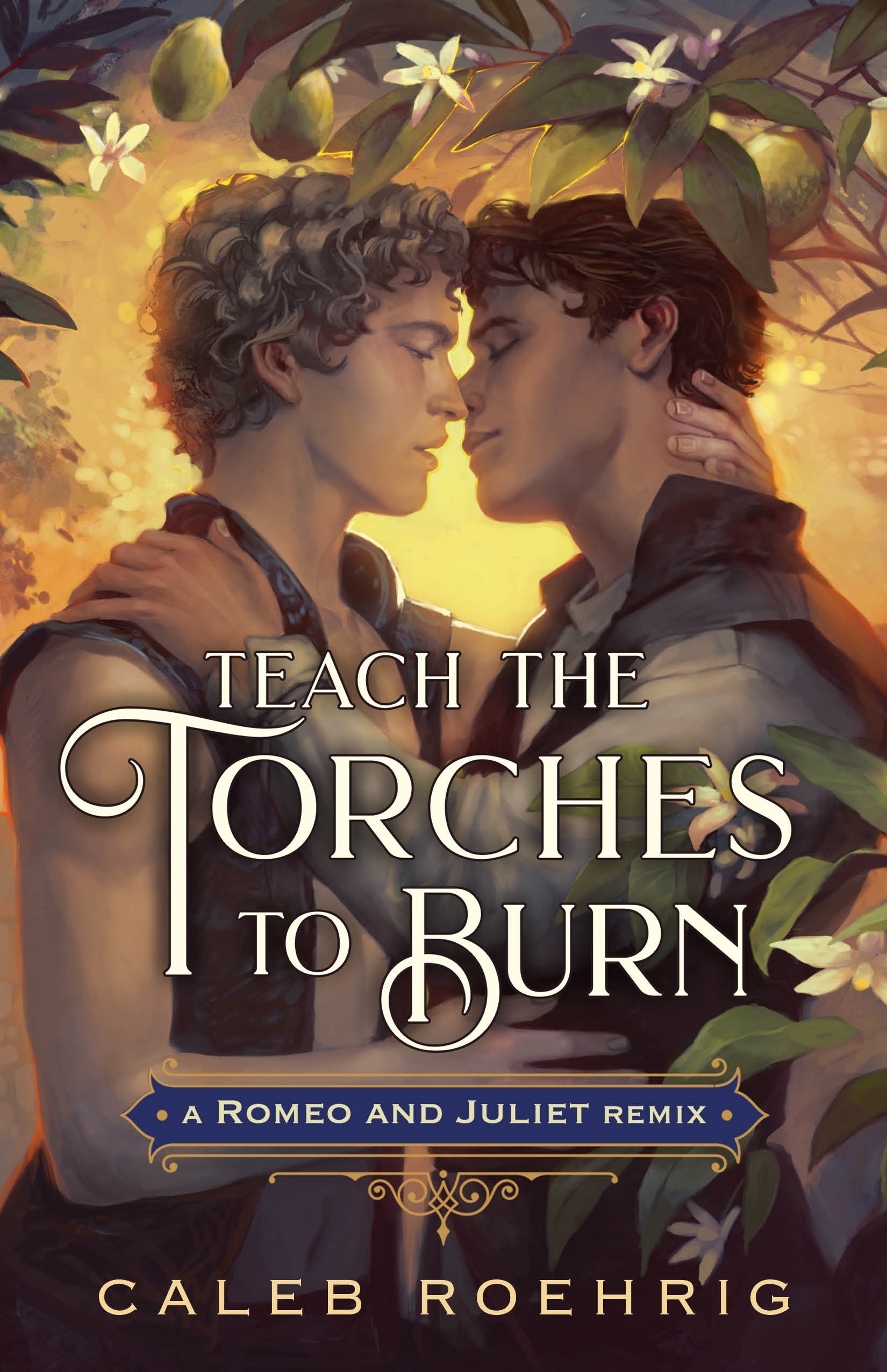 Book Teach the Torches to Burn: A Romeo & Juliet Remix