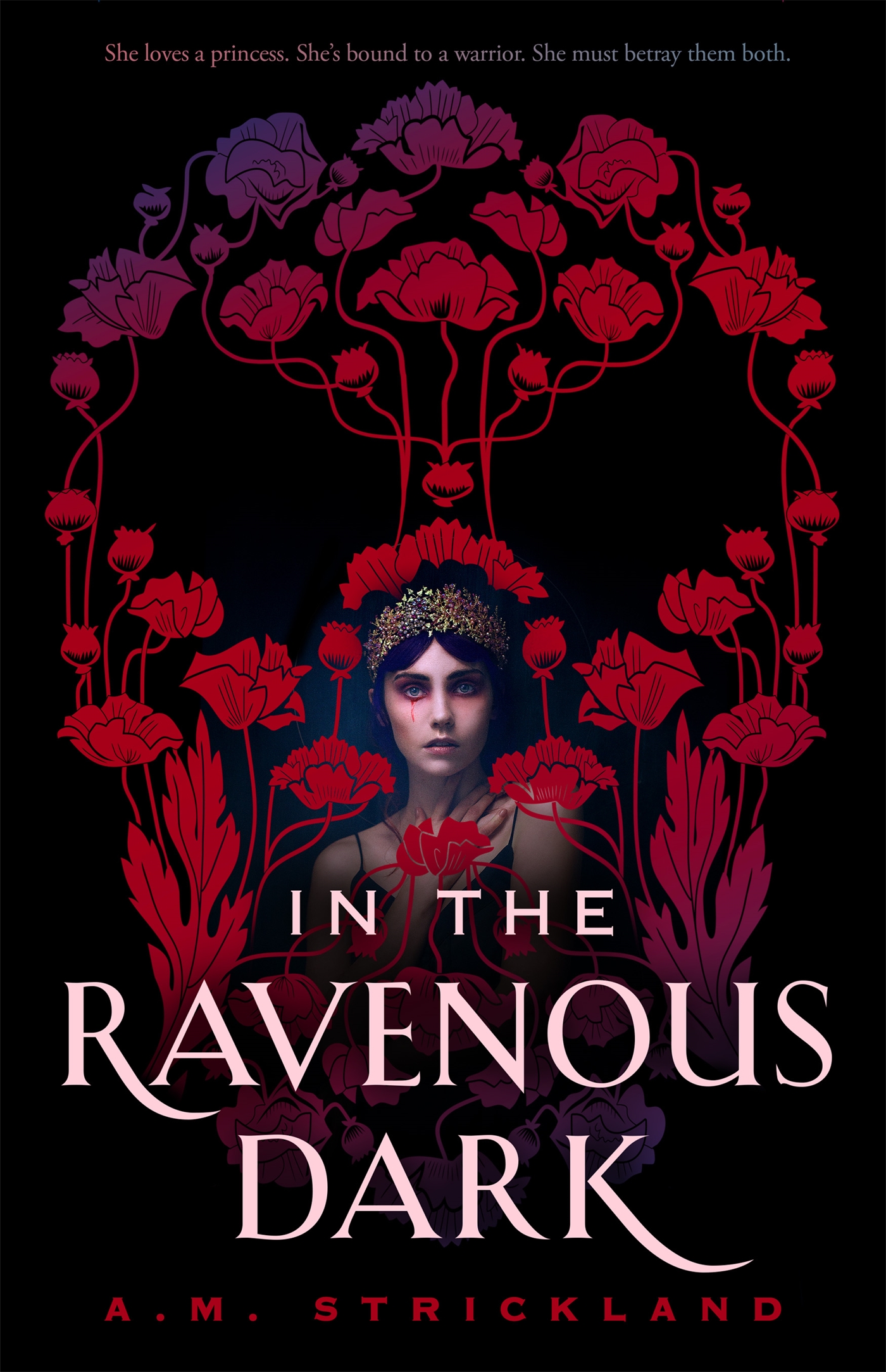 Book In the Ravenous Dark