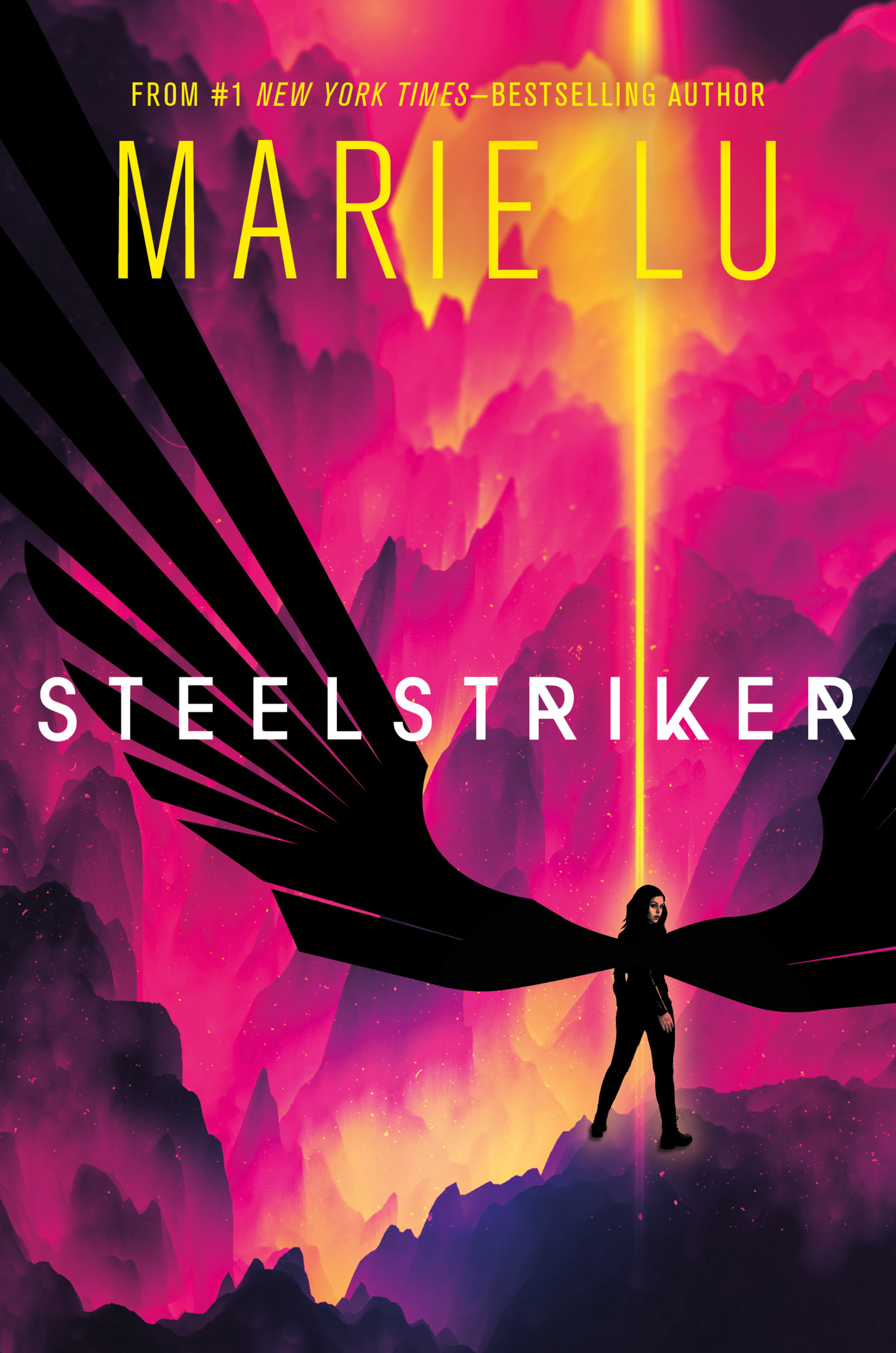 Book Steelstriker