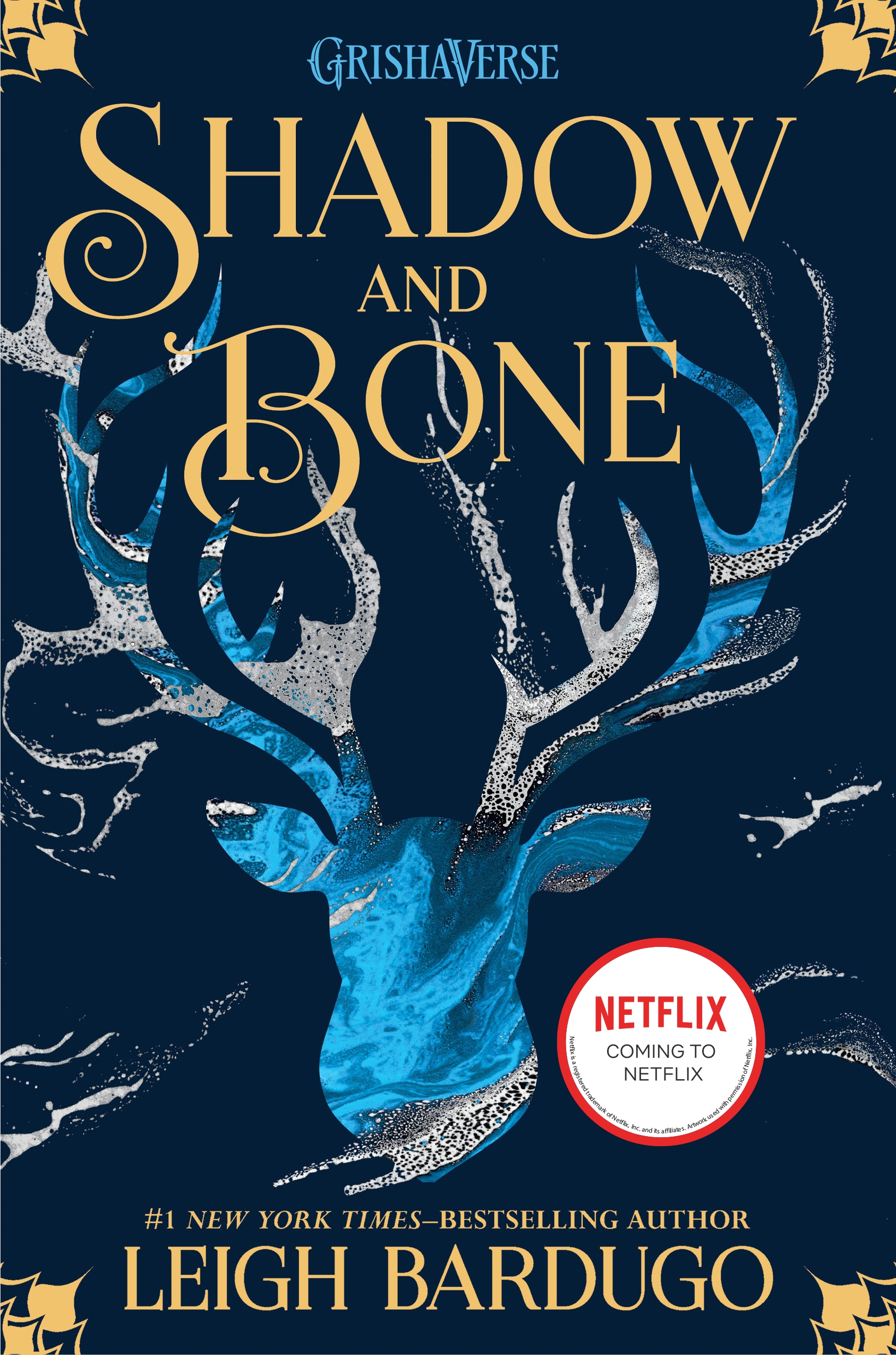 Book Shadow and Bone