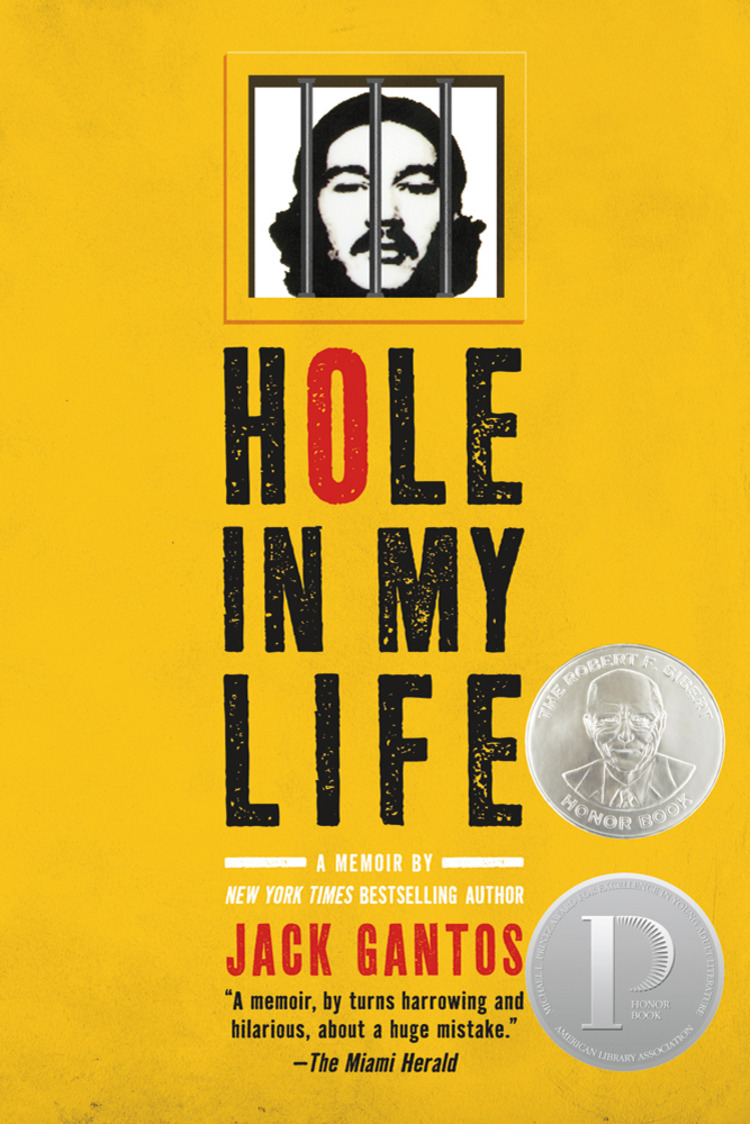 Images for Hole in My Life