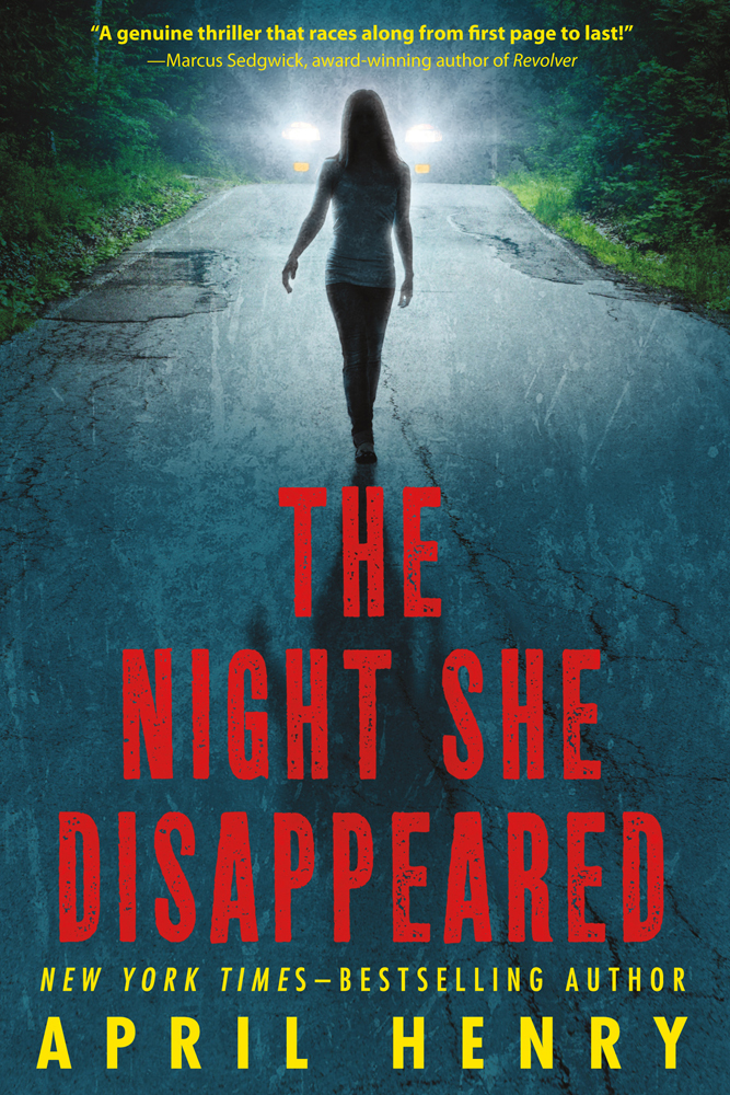 Book The Night She Disappeared