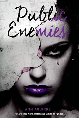 Book Public Enemies