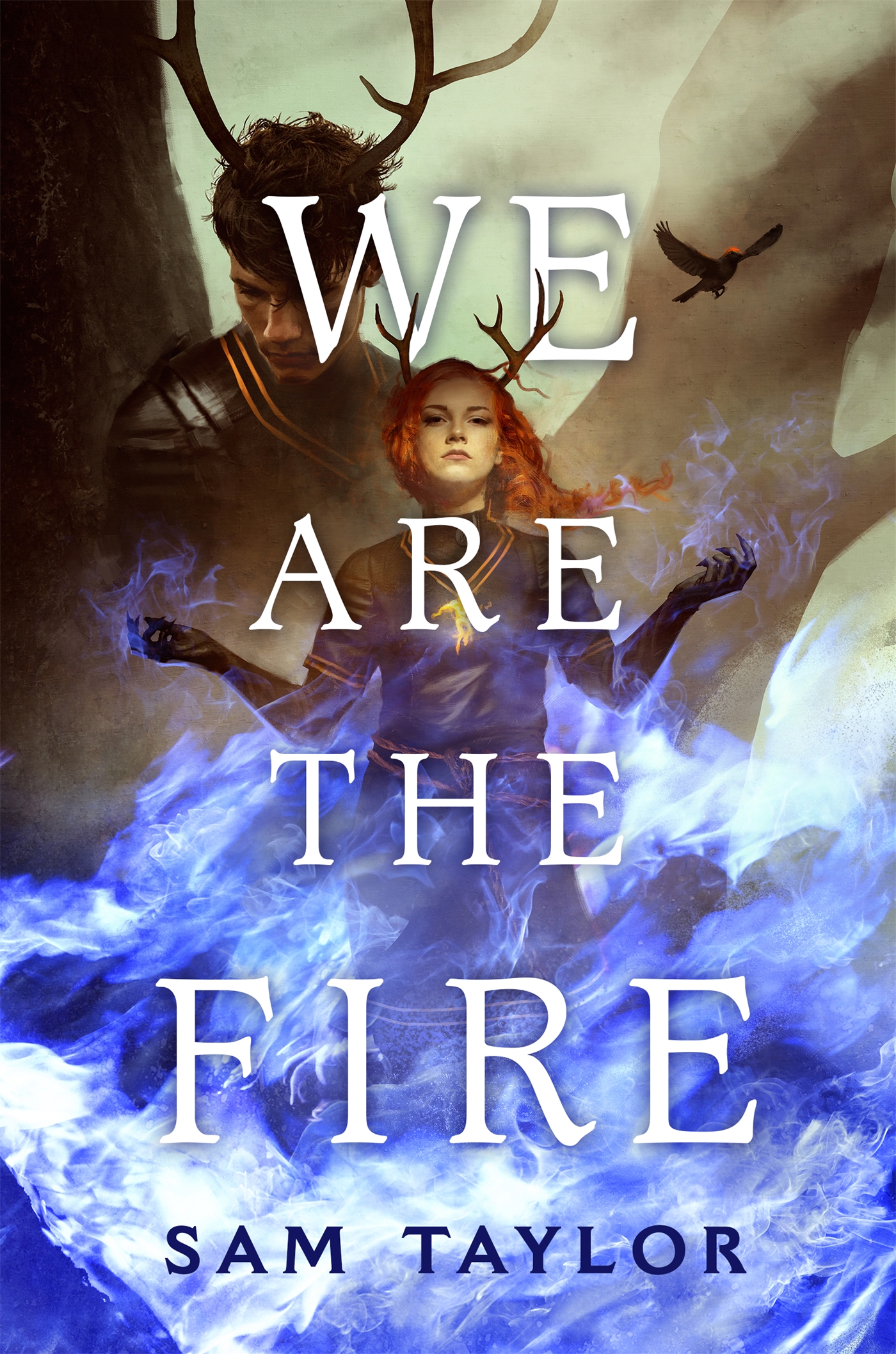 Book We Are the Fire